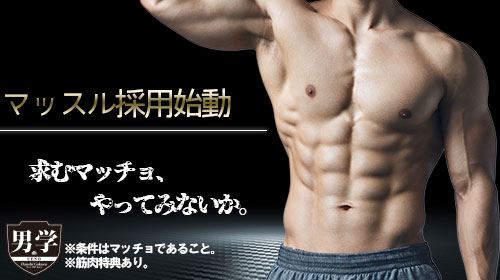 マッスル求人始動!!